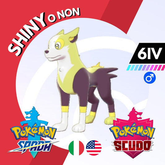 Boltund Shiny o Non 6 IV Competitivo Legit Pokemon Spada Scudo Sword Shield