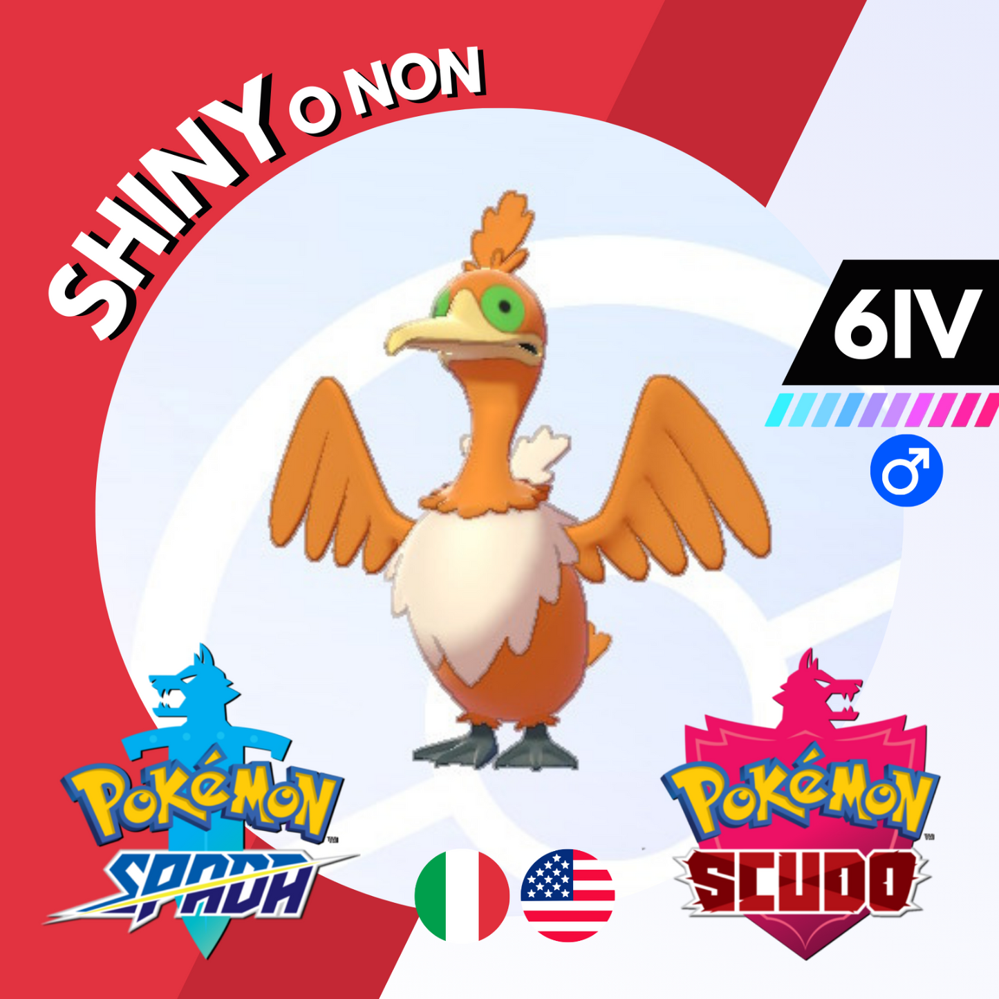 Cramorant Shiny o Non 6 IV Competitivo Legit Pokemon Spada Scudo Sword Shield