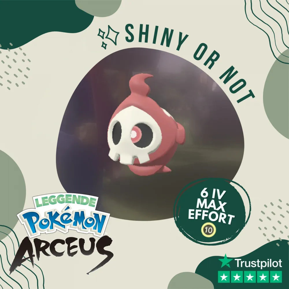 Duskull Shiny ✨ Legends Pokémon Arceus 6 Iv Max Effort Custom Ot Level Gender