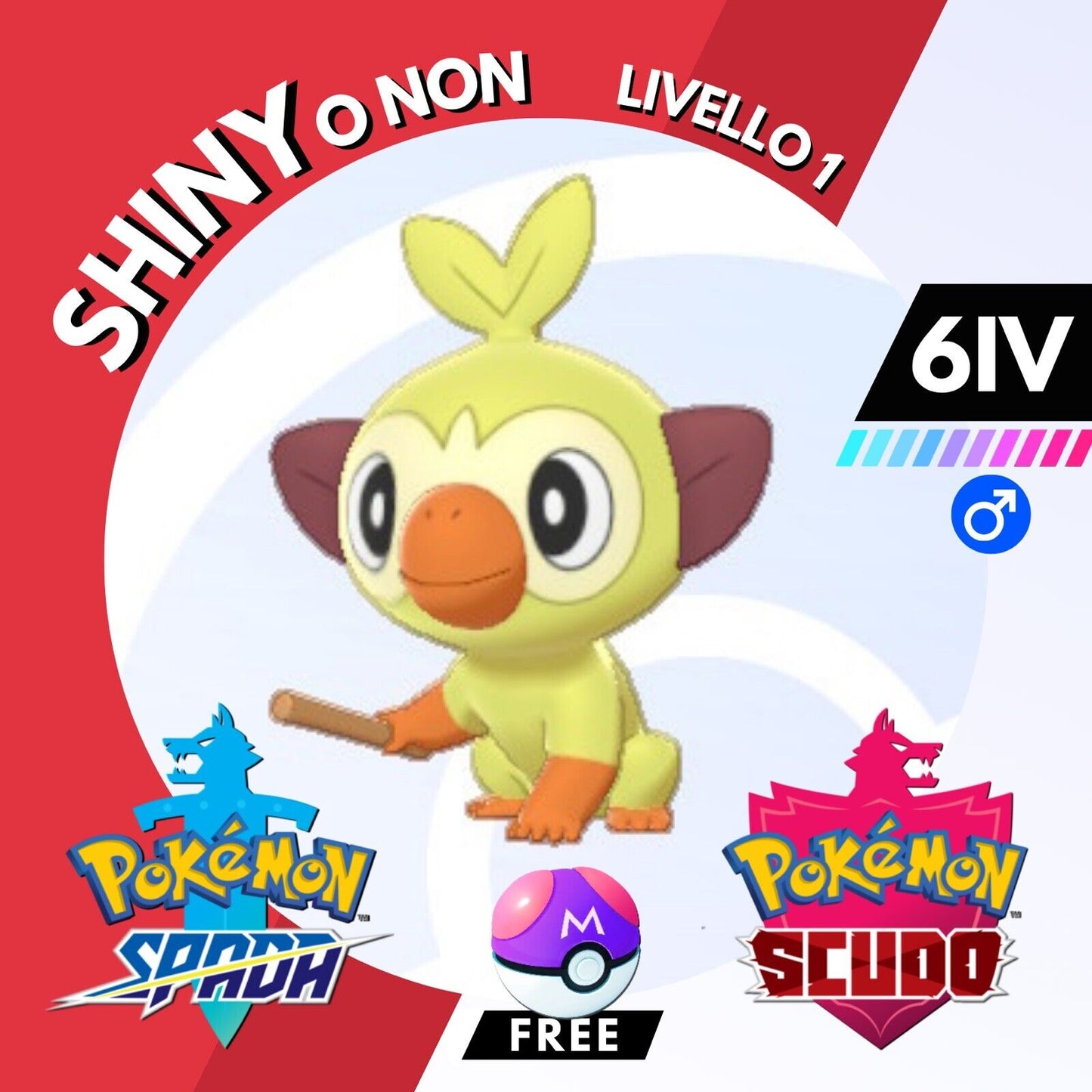 Grookey Shiny o Non 6 IV e Master Ball Legit Pokemon Spada Scudo Sword Shield