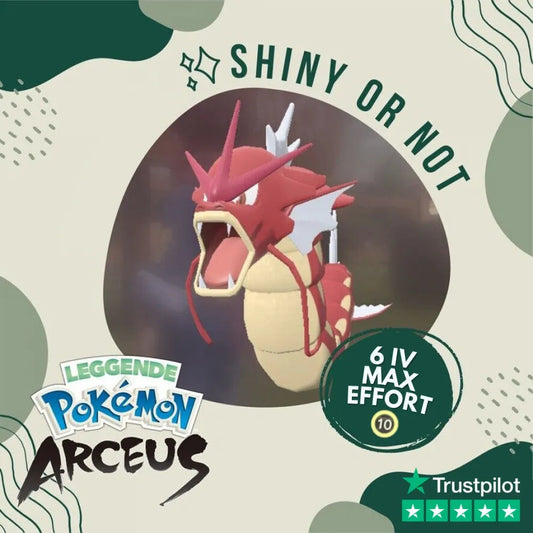 Gyarados Shiny ✨ Legends Pokémon Arceus 6 Iv Max Effort Custom Ot Level Gender