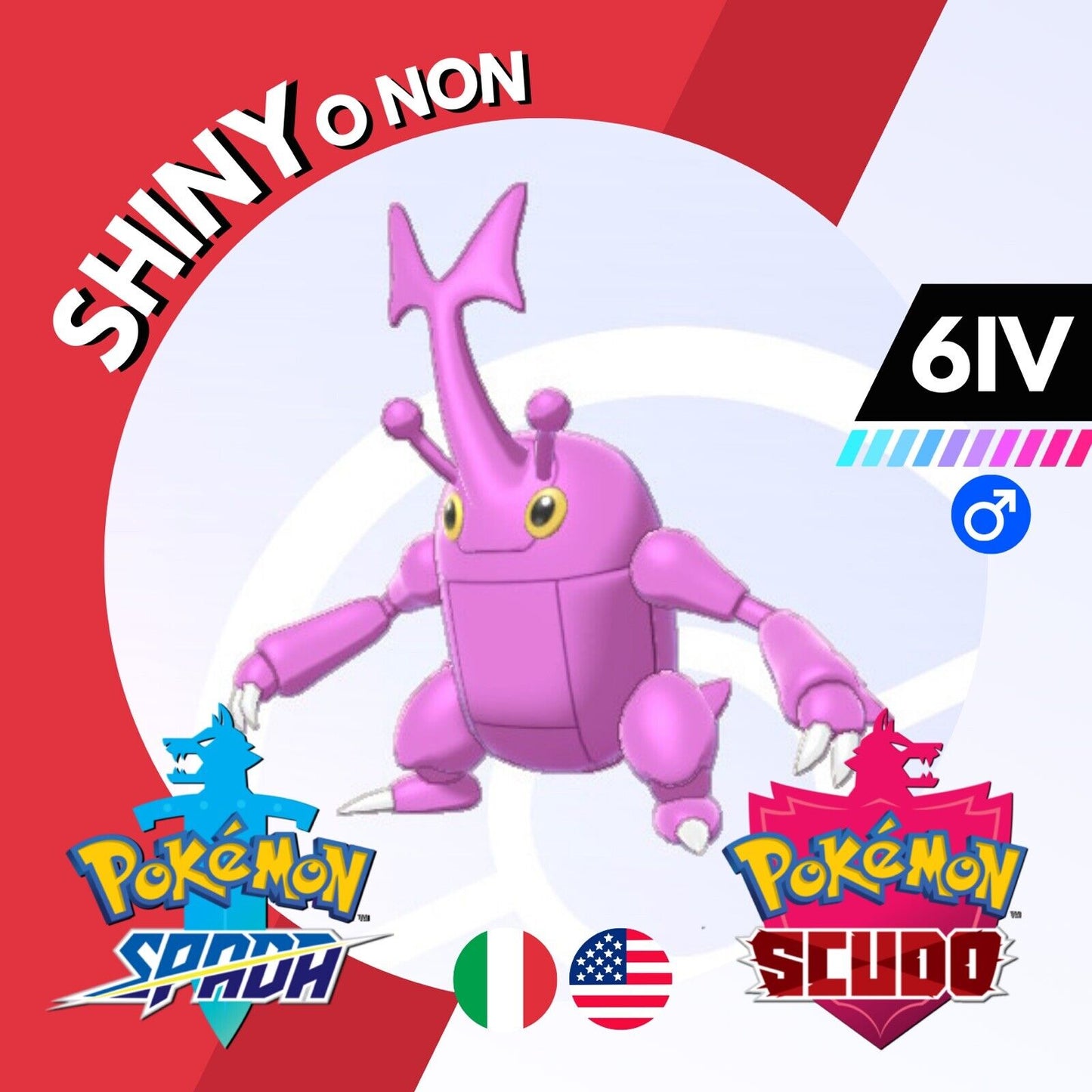 Heracross Shiny o Non 6 IV Competitivo Legit Pokemon Spada Scudo Sword Shield