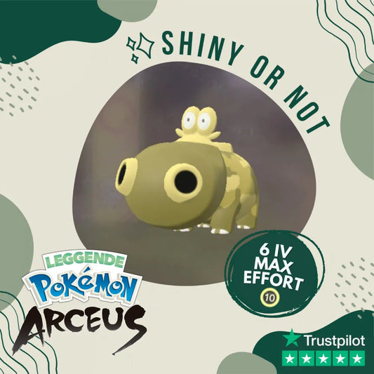 Hippopotas Shiny ✨ Legends Pokémon Arceus 6 Iv Max Effort Custom Ot Level Gender