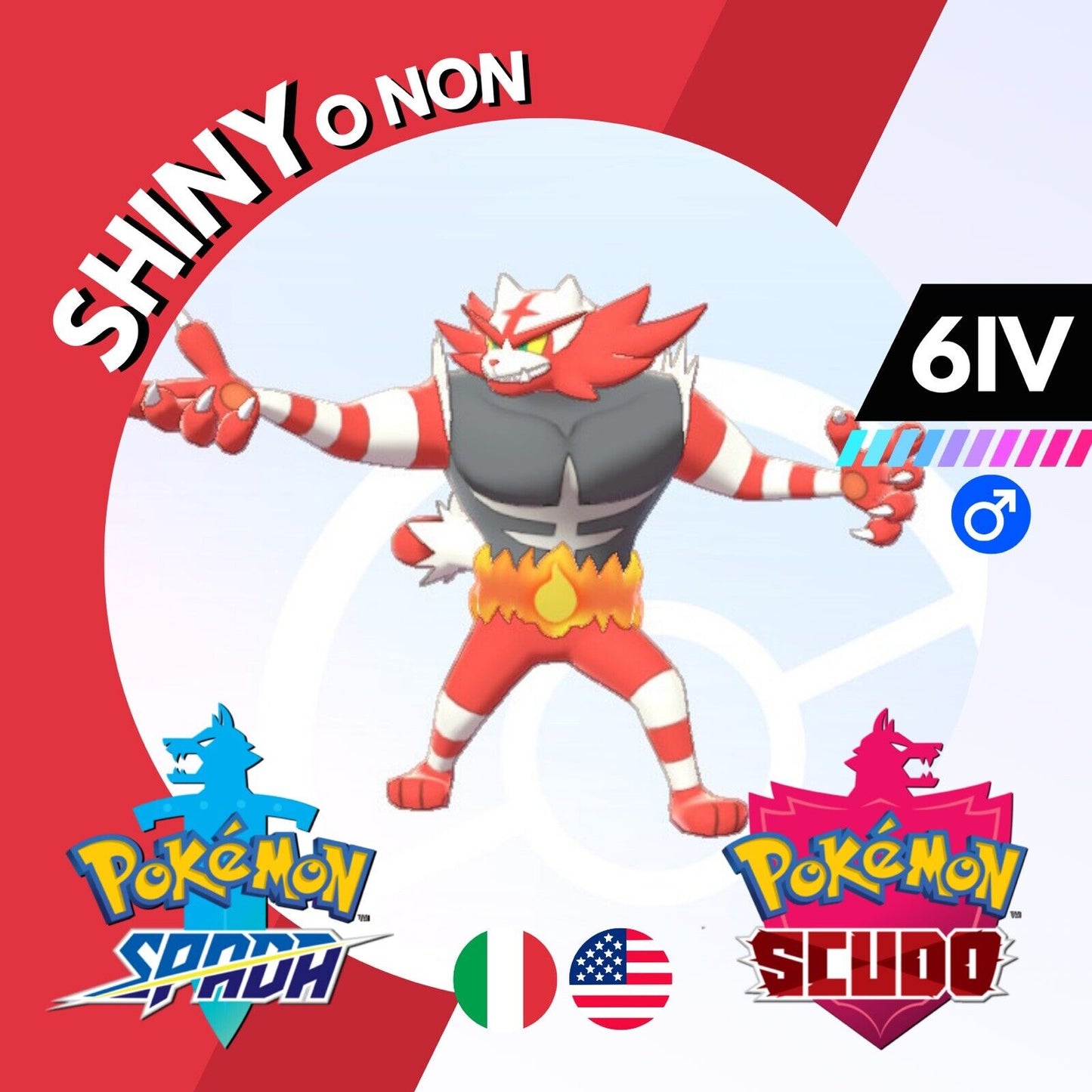 Incineroar Shiny o Non 6 IV Competitivo Legit Pokemon Spada Scudo Sword Shield