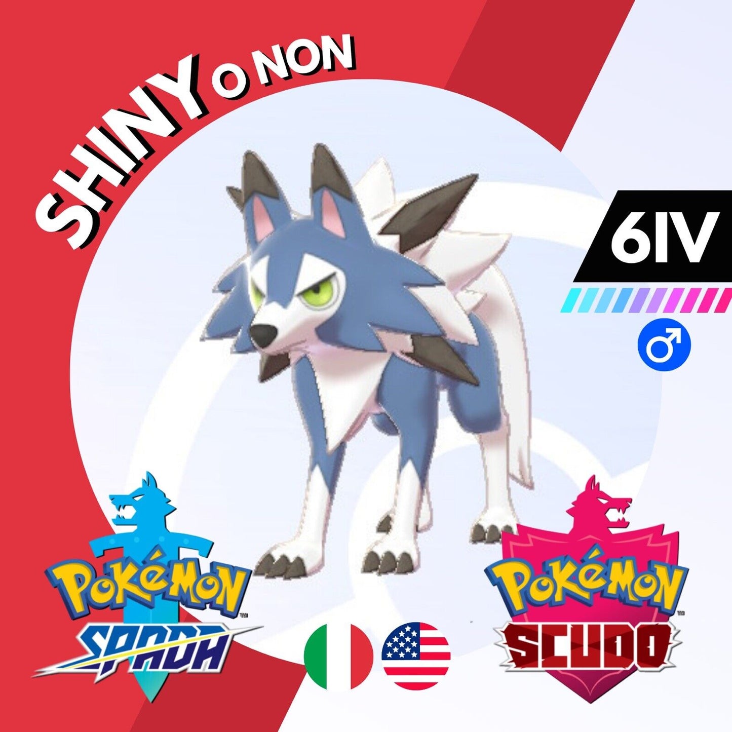 Lycanroc Midday Shiny o Non 6 IV Competitivo Pokemon Spada Scudo Sword Shield