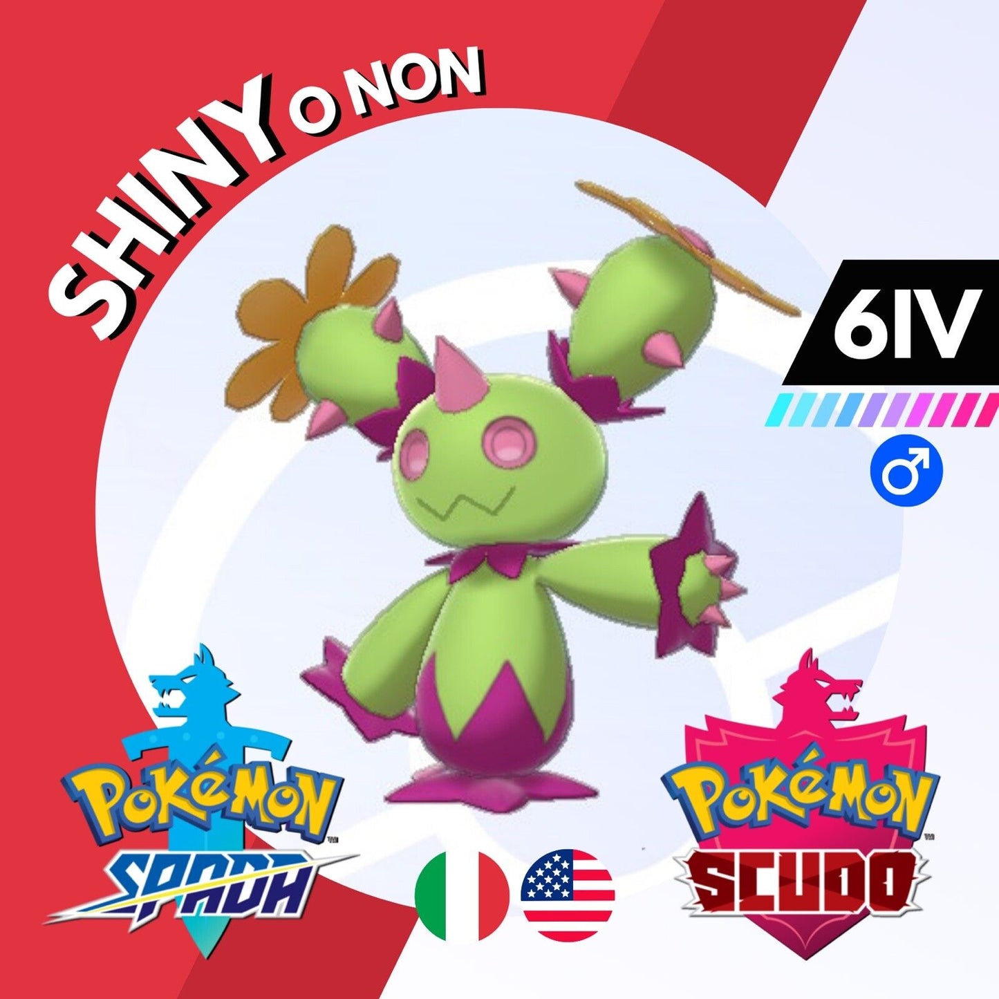 Maractus Shiny o Non 6 IV Competitivo Legit Pokemon Spada Scudo Sword Shield