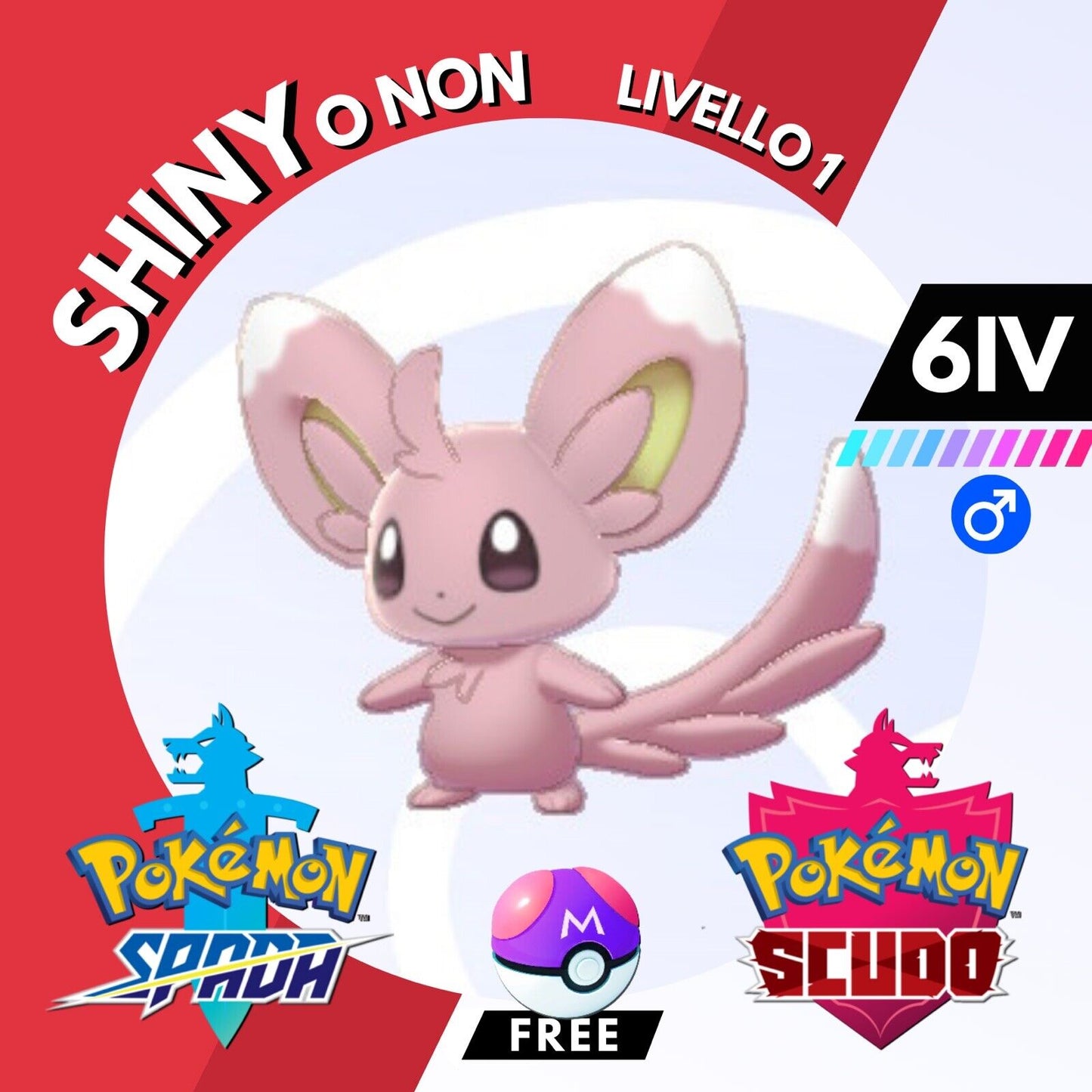 Minccino Shiny o Non 6 IV e Master Ball Legit Pokemon Spada Scudo Sword Shield