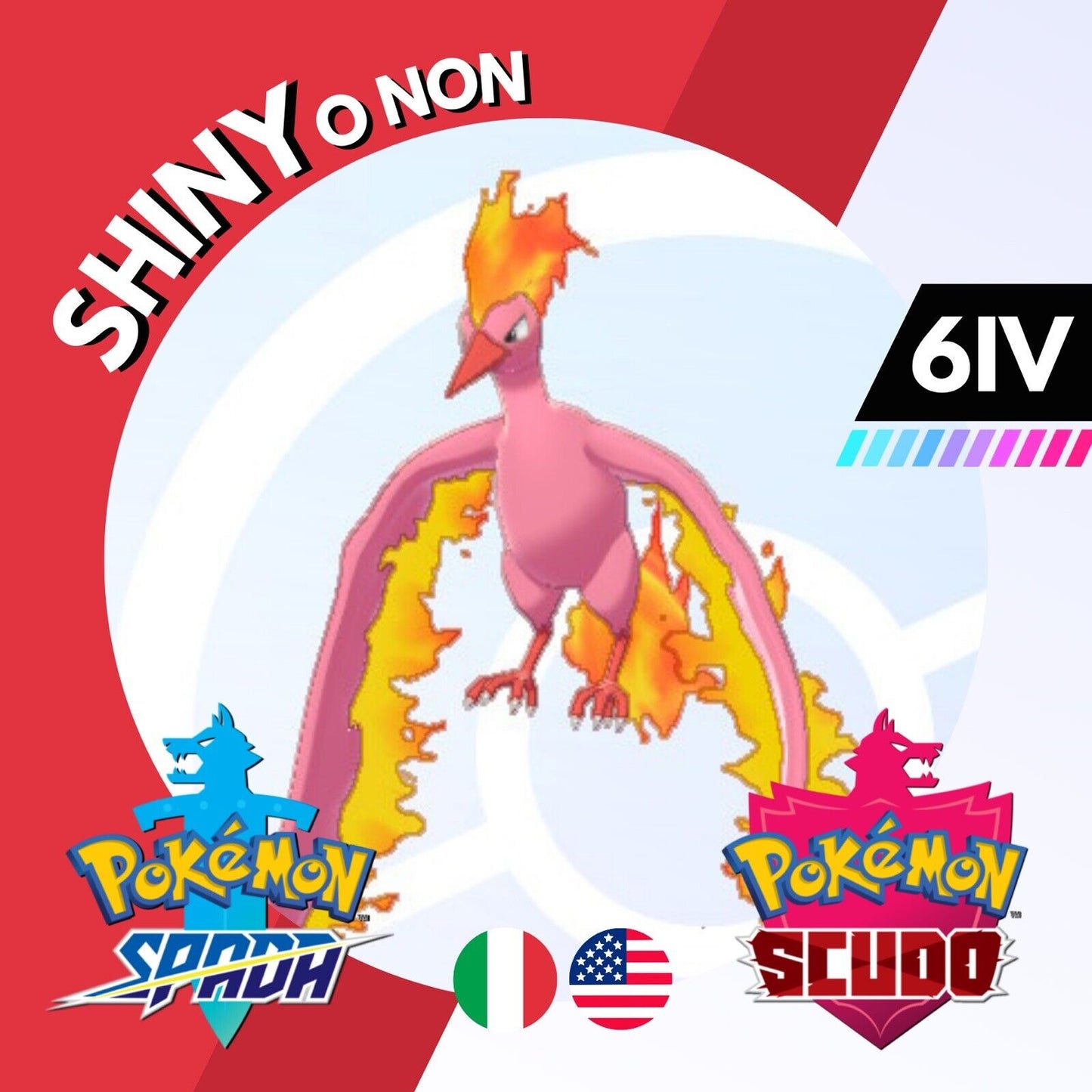 Moltres Shiny o Non 6 IV Competitivo Legit Pokemon Spada Scudo Sword Shield