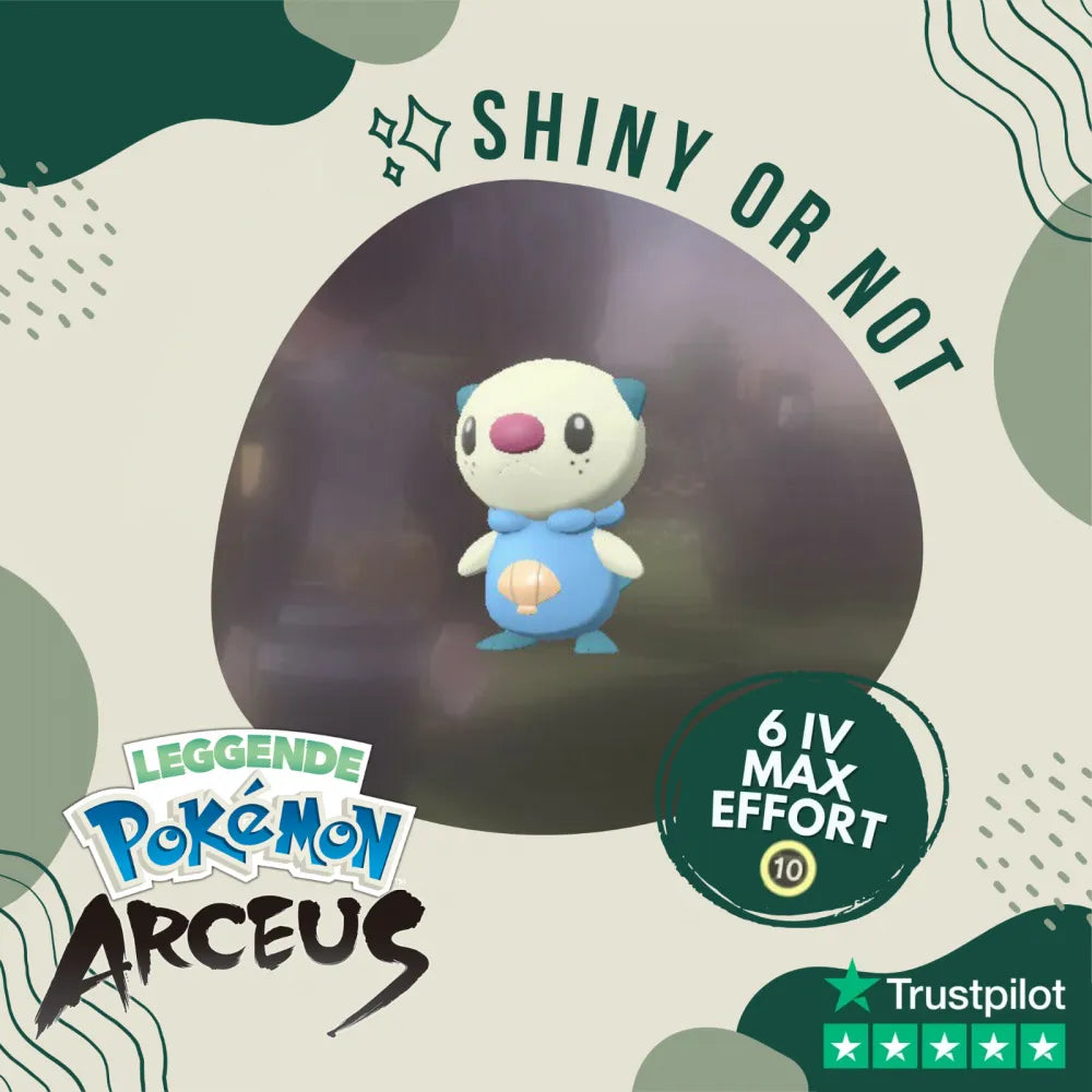 Oshawott Shiny ✨ Legends Pokémon Arceus 6 Iv Max Effort Custom Ot Level Gender