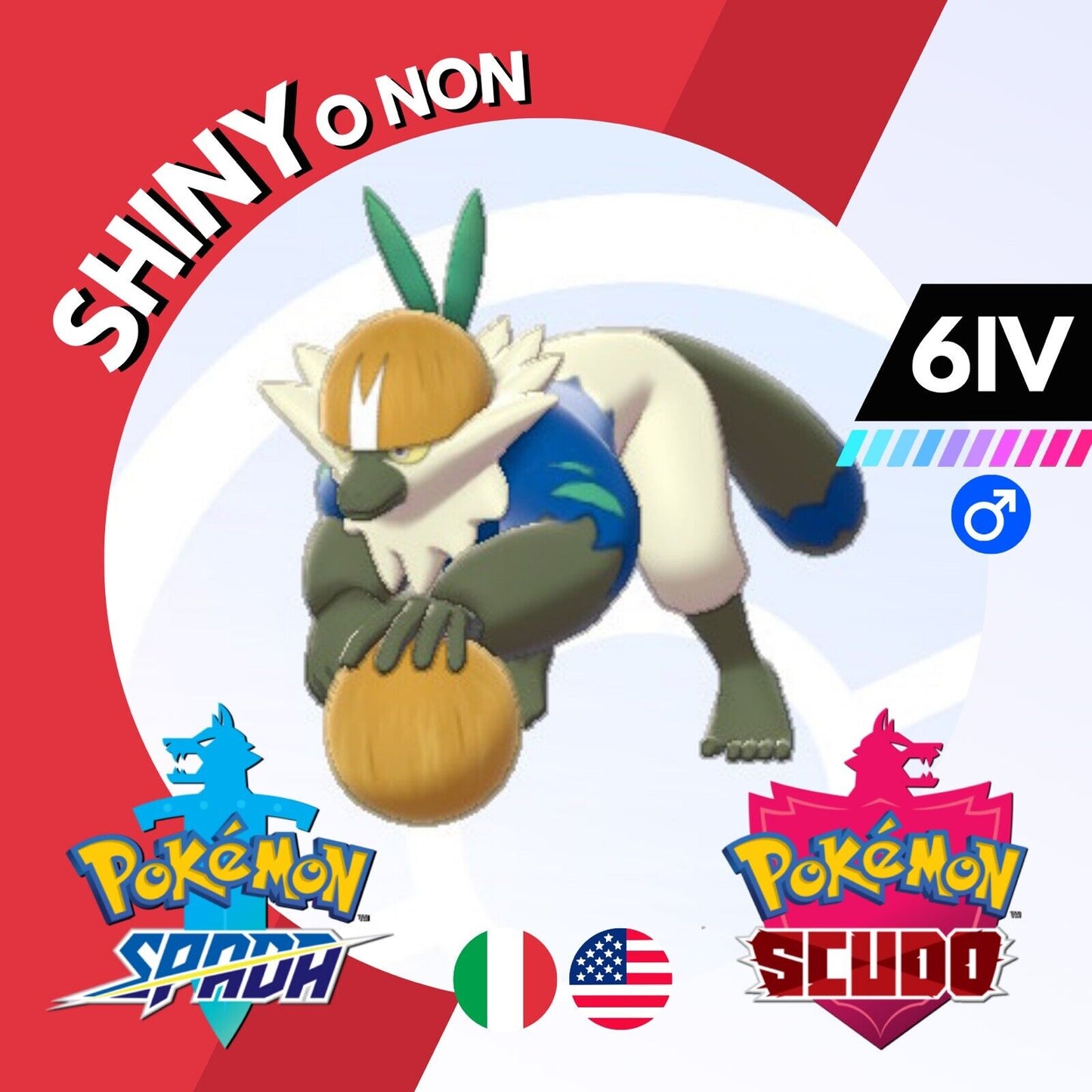 Passimian Shiny o Non 6 IV Competitivo Legit Pokemon Spada Scudo Sword Shield