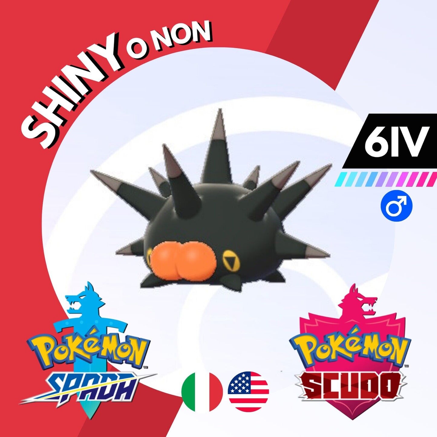 Pincurchin Shiny o Non 6 IV Competitivo Legit Pokemon Spada Scudo Sword Shield