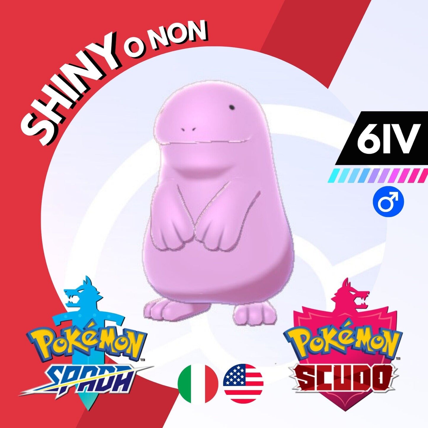 Quagsire Shiny o Non 6 IV Competitivo Legit Pokemon Spada Scudo Sword Shield