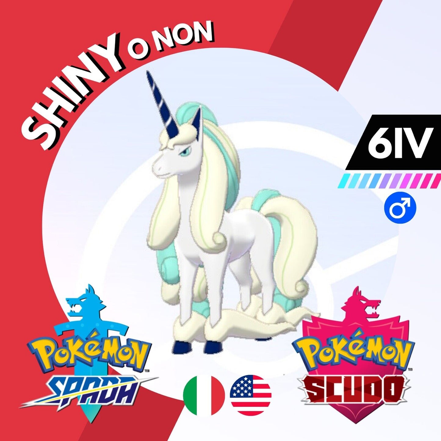 Rapidash di Galar Shiny o Non 6 IV Competitivo Pokemon Spada Scudo Sword Shield