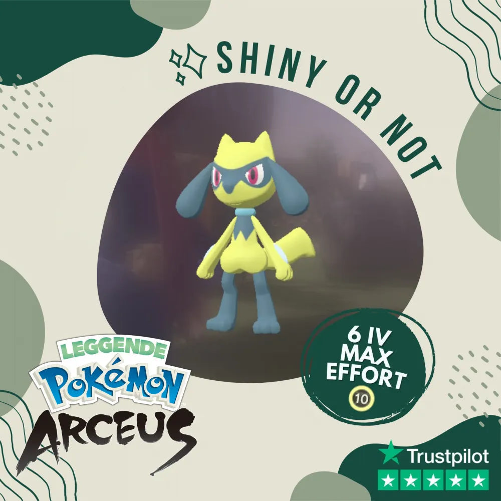 Riolu Shiny ✨ Legends Pokémon Arceus 6 Iv Max Effort Custom Ot Level Gender