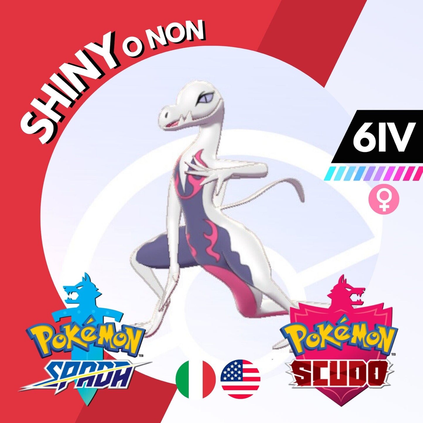 Salazzle Shiny o Non 6 IV Competitivo Legit Pokemon Spada Scudo Sword Shield