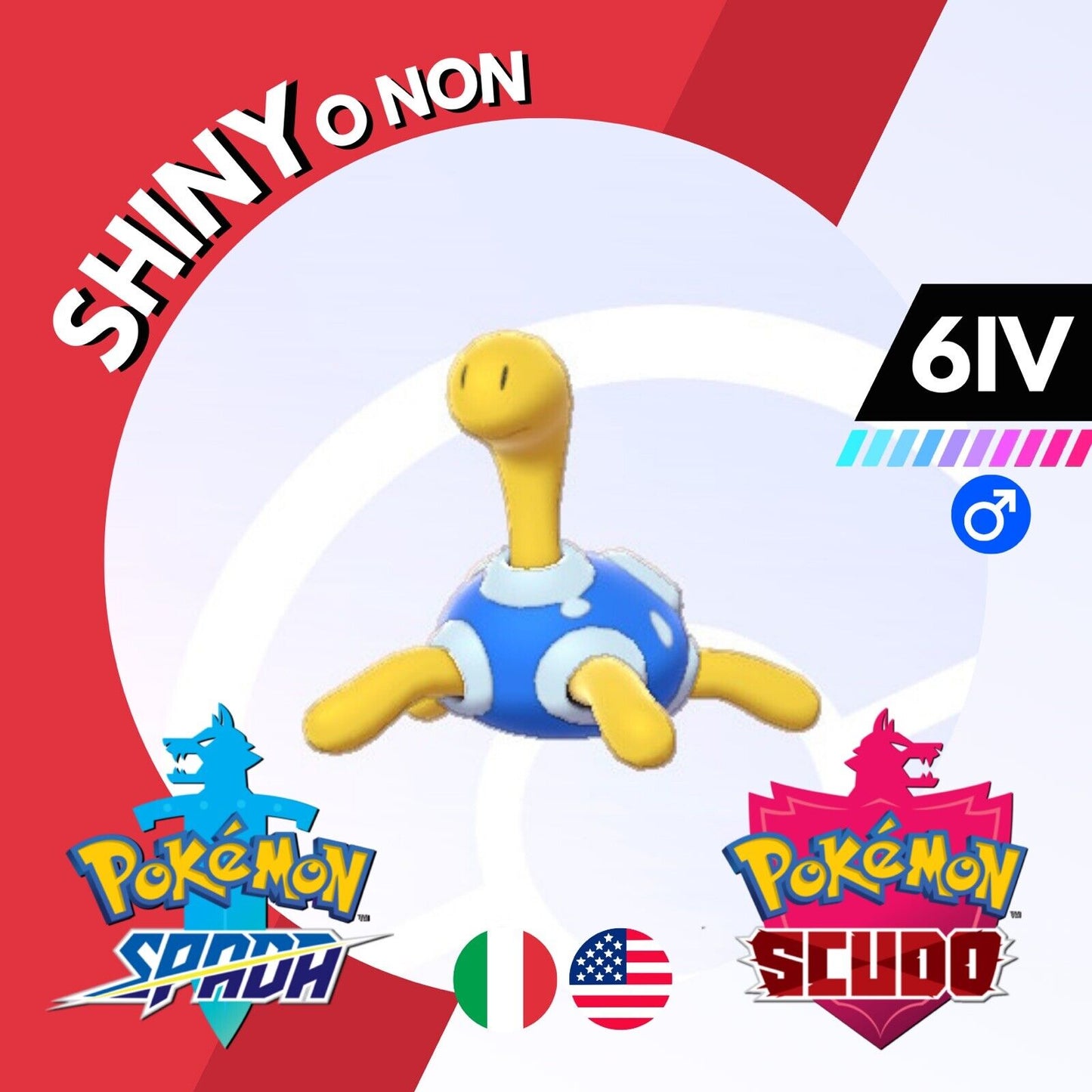 Shuckle Shiny o Non 6 IV Competitivo Legit Pokemon Spada Scudo Sword Shield