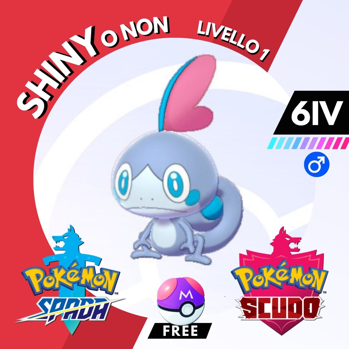 Sobble Shiny o Non 6 IV e Master Ball Legit Pokemon Spada Scudo Sword Shield