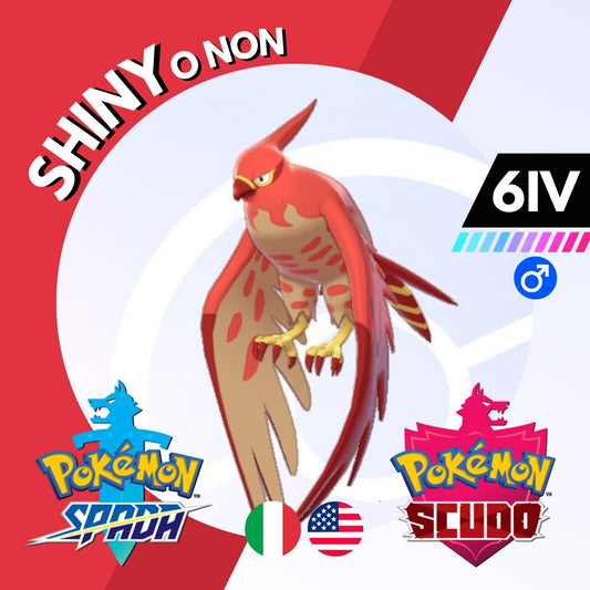 Talonflame Shiny o Non 6 IV Competitivo Legit Pokemon Spada Scudo Sword Shield