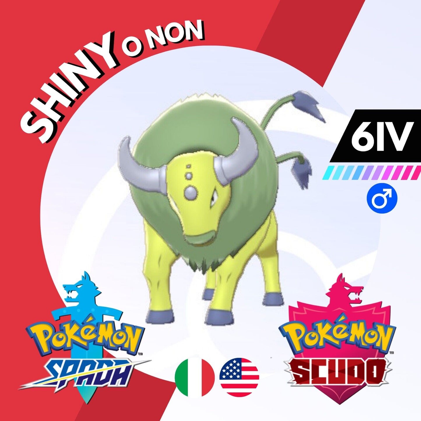 Tauros Shiny o Non 6 IV Competitivo Legit Pokemon Spada Scudo Sword Shield