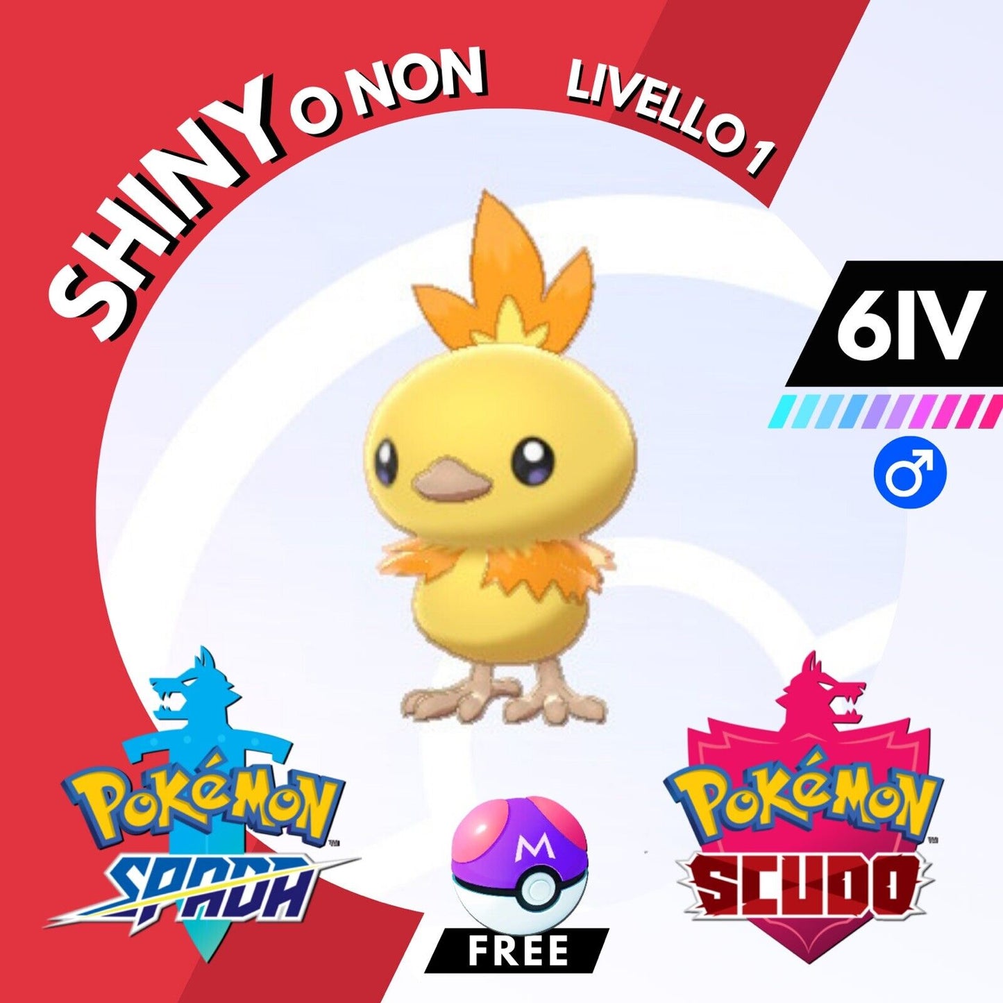 Torchic Shiny o Non 6 IV e Master Ball Legit Pokemon Spada Scudo Sword Shield
