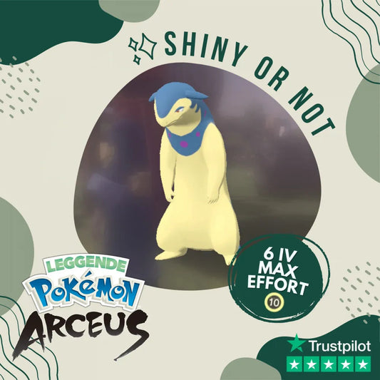 Typhlosion Hisui Shiny ✨ Legends Pokémon Arceus 6 Iv Custom Ot Level Gender