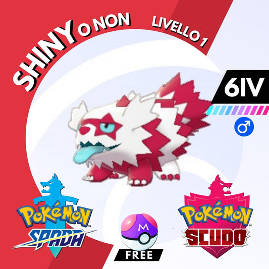 Zigzagoon Galar Shiny o Non 6 IV e Master Ball Pokemon Spada Scudo Sword Shield