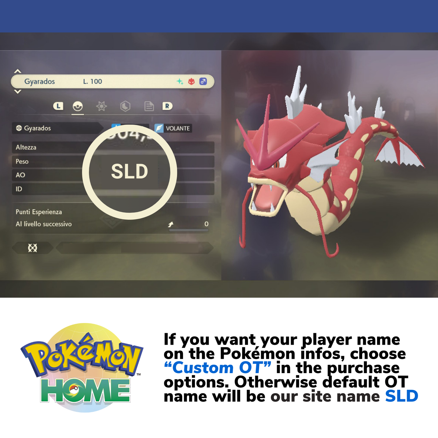 Pokémon Legends Arceus Complete Alpha Shiny Living Dex & Strategic Guide Custom OT name Pokedex Pokémon HOME 6IV Competitive