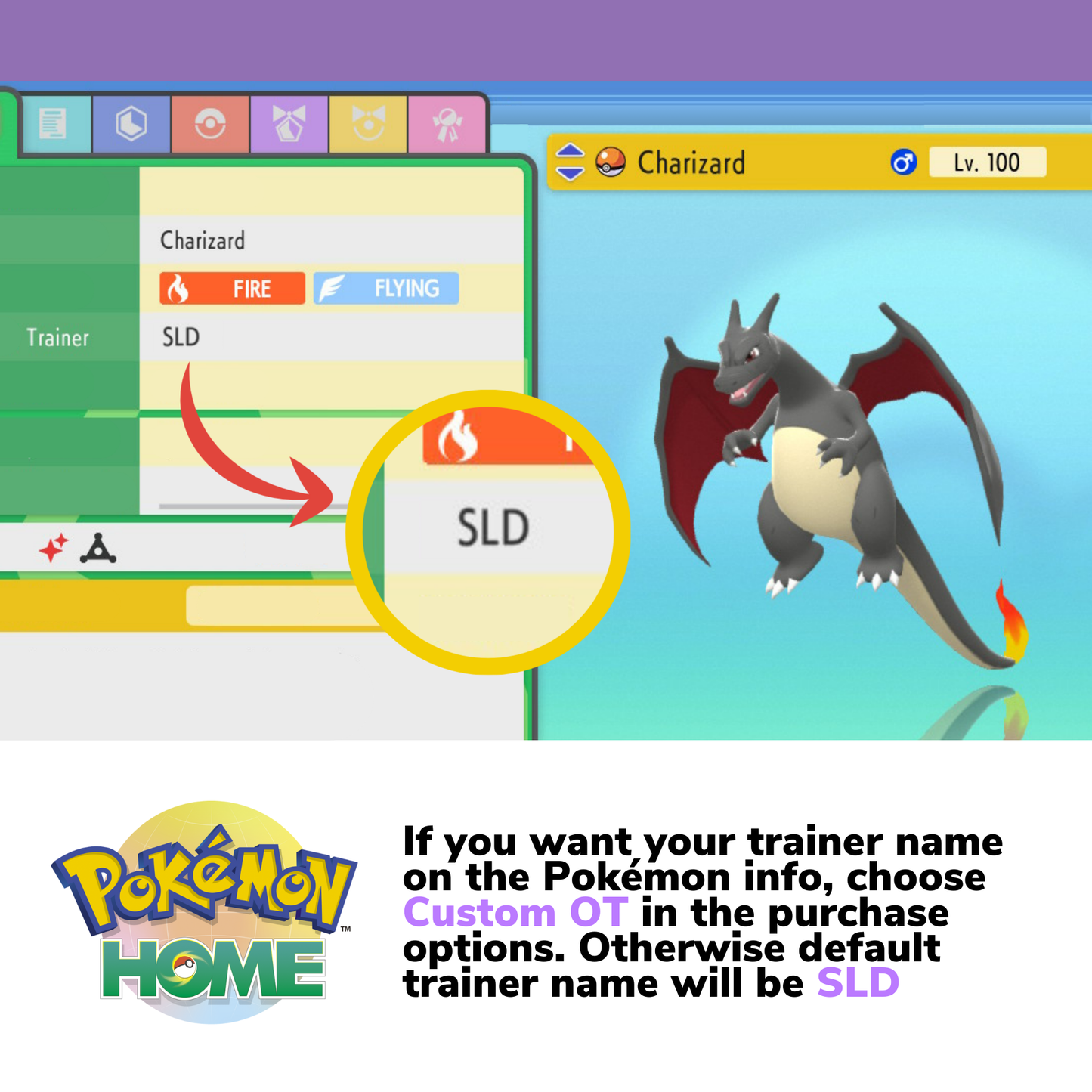 Pokémon Brilliant Diamond Shining Pearl Complete Shiny Living Dex & Strategy Guide Custom OT name Pokedex Pokémon HOME 6IV