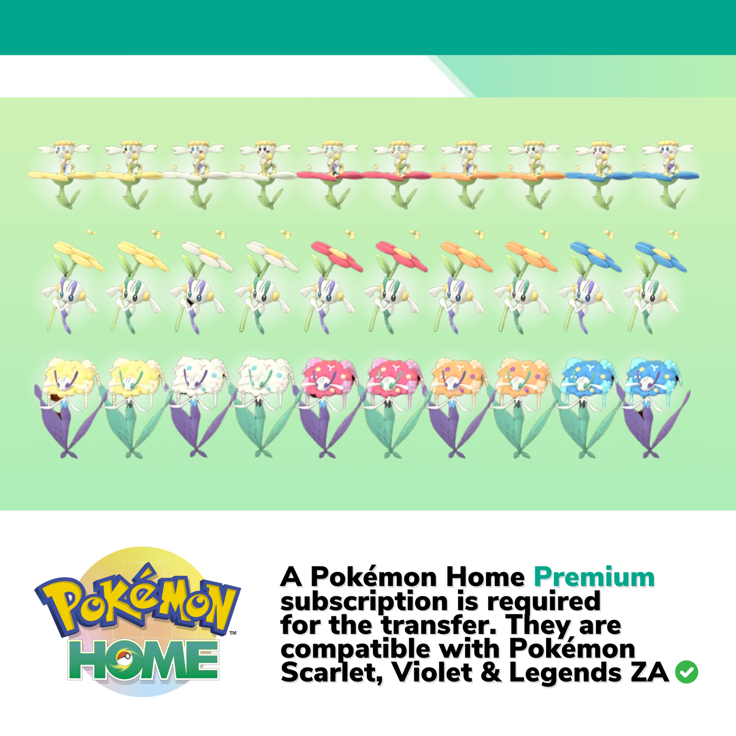 All Flabebè Floette Florges Shiny & Non Shiny Complete Collection Pokémon HOME Custom OT 6 IV All colors Legends Z-A Scarlet ready