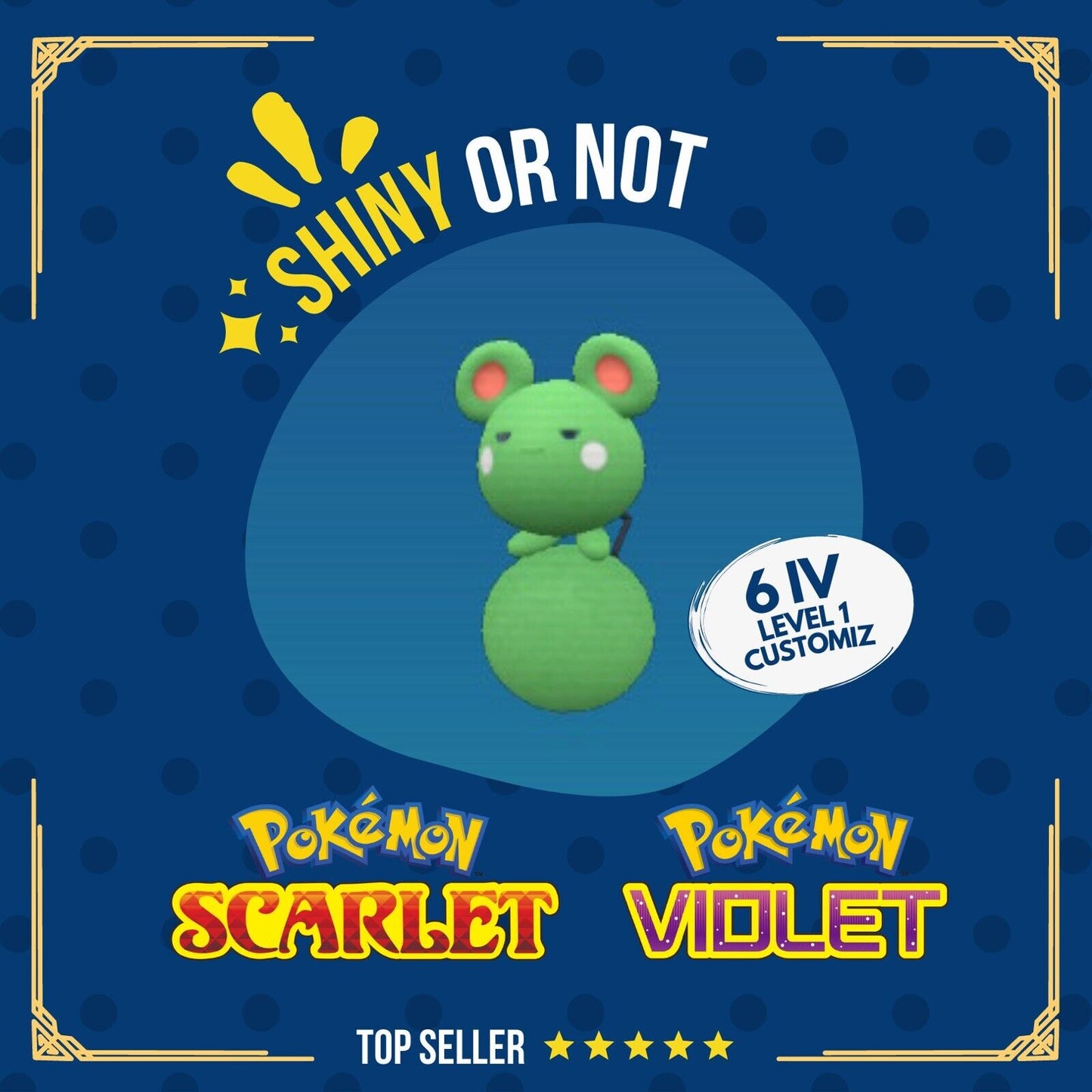 Azurill Shiny or Non ✨ 6 IV Customizable Nature Level OT Pokémon Scarlet Violet by Shiny Living Dex | Shiny Living Dex