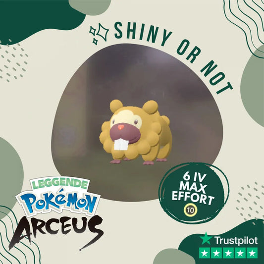 Bidoof Shiny ✨ Legends Pokémon Arceus 6 Iv Max Effort Custom Ot Level Gender