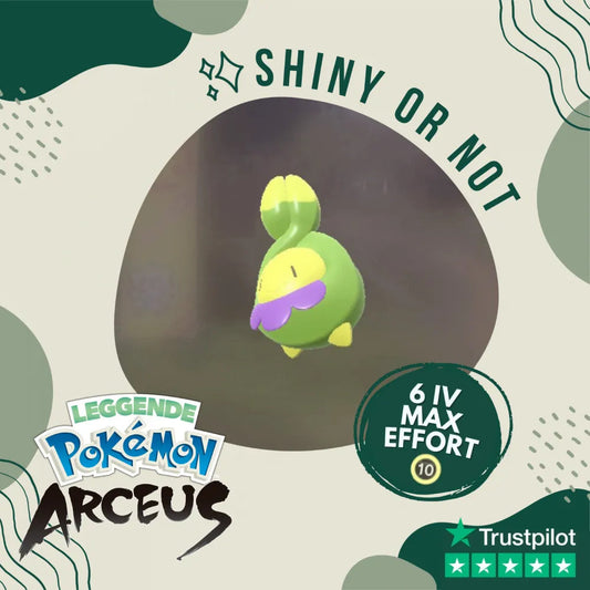 Budew Shiny ✨ Legends Pokémon Arceus 6 Iv Max Effort Custom Ot Level Gender