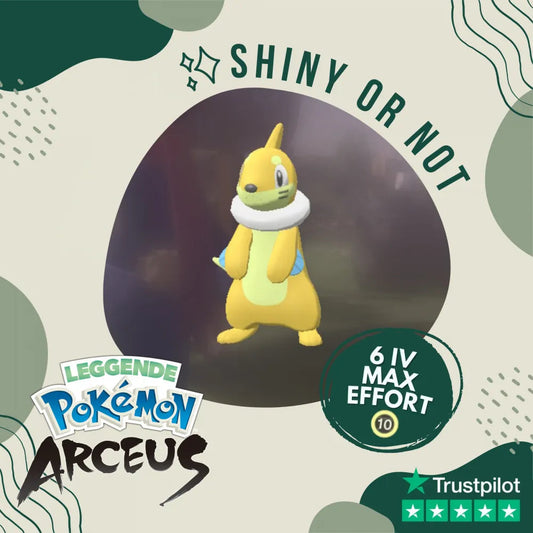 Buizel Shiny ✨ Legends Pokémon Arceus 6 Iv Max Effort Custom Ot Level Gender
