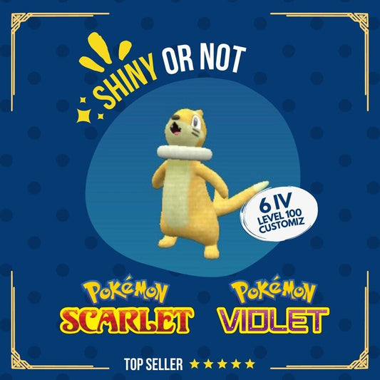 Buizel Shiny or Non ✨ 6 IV All Competitive Customizable Pokémon Scarlet Violet by Shiny Living Dex | Shiny Living Dex