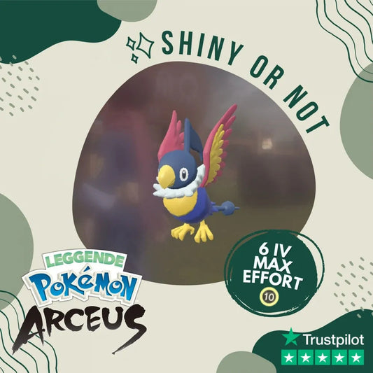 Chatot Shiny ✨ Legends Pokémon Arceus 6 Iv Max Effort Custom Ot Level Gender
