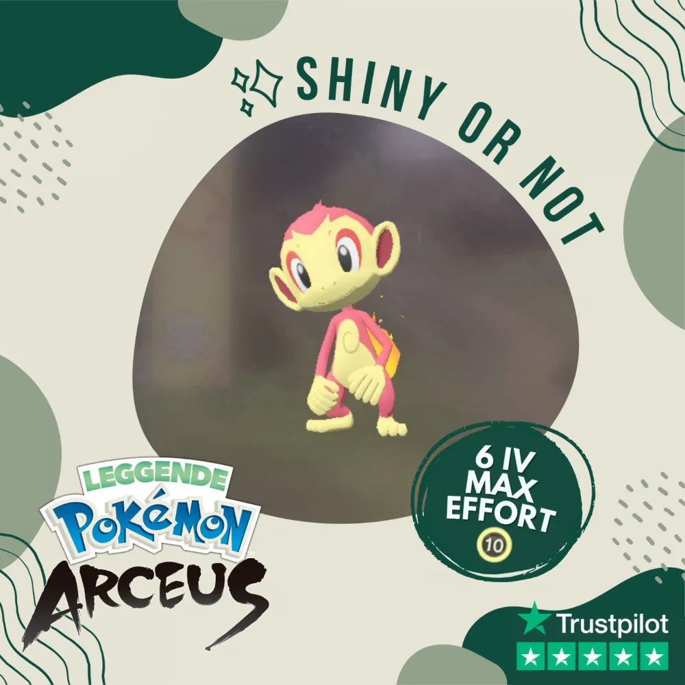 Chimchar Shiny ✨ Legends Pokémon Arceus 6 Iv Max Effort Custom Ot Level Gender