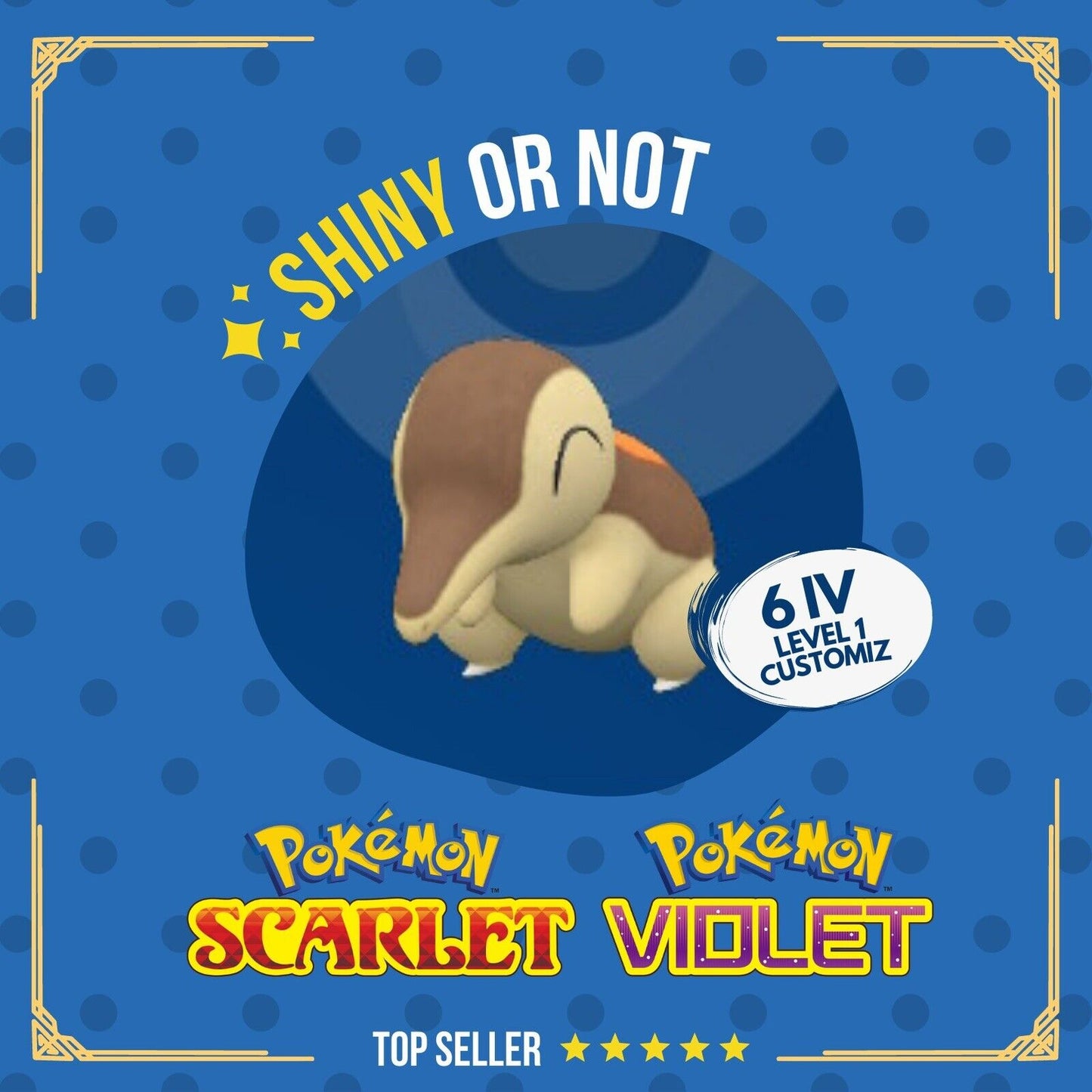 Cyndaquil Shiny or Non ✨ 6 IV Customizable Nature Level Pokémon Scarlet Violet by Shiny Living Dex | Shiny Living Dex