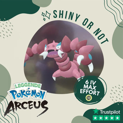 Floatzel Shiny ✨ Legends Pokémon Arceus 6 IV Max Effort Alpha Leggende – Shiny Living Dex Floatzel Shiny ✨ Legends Pokémon Arceus 6 IV Max Effort Alpha Leggende – Shiny Living Dex