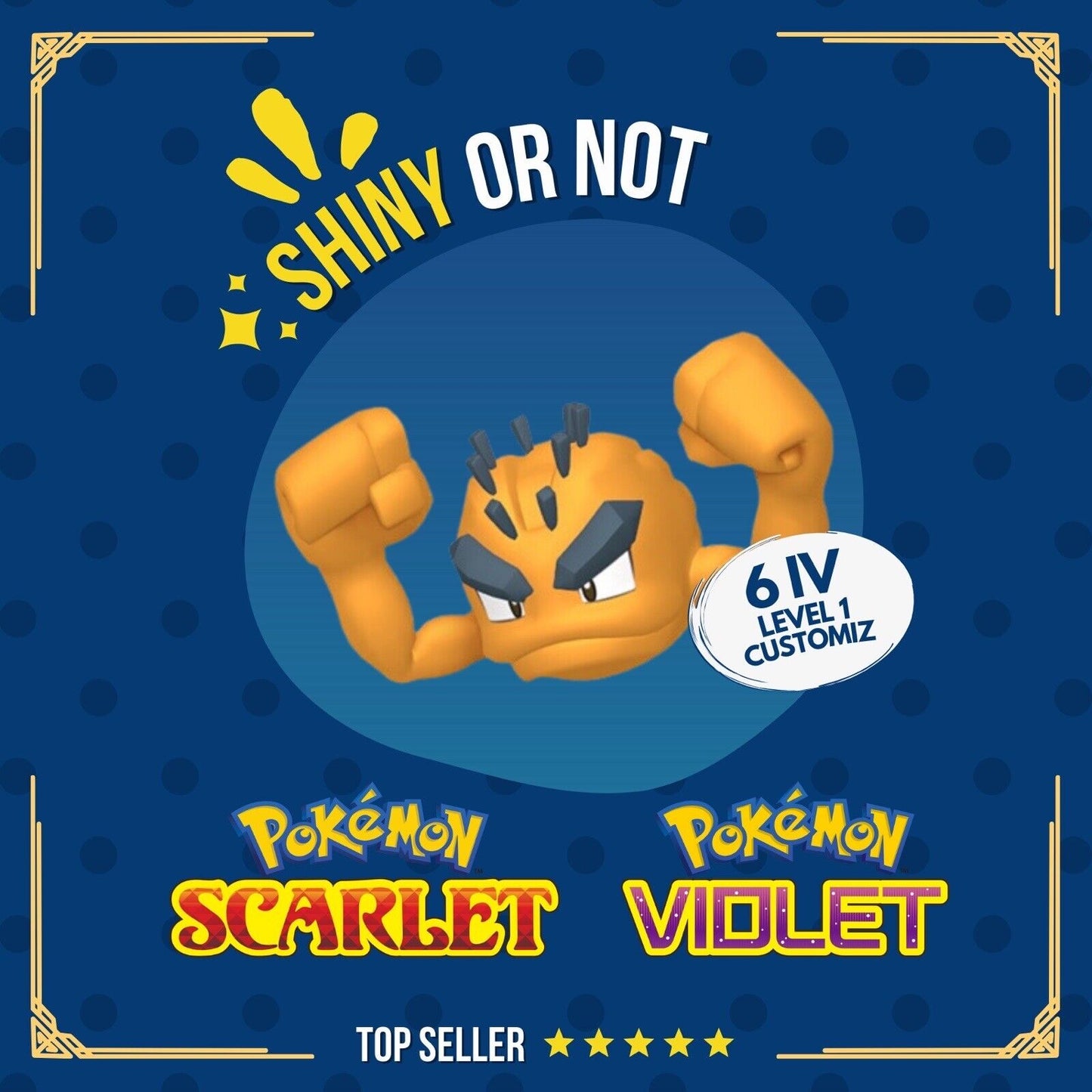 Geodude Alolan Shiny or Non ✨ 6 IV Customizable Level OT Pokémon Scarlet Violet by Shiny Living Dex | Shiny Living Dex