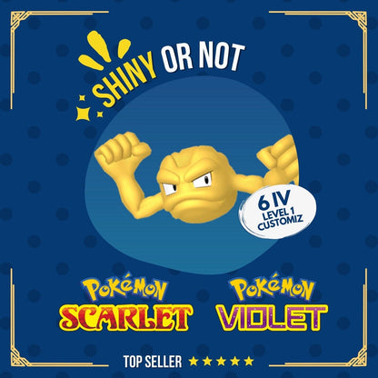 Geodude Shiny or Non ✨ 6 IV Customizable Nature Level OT Pokémon Scarlet Violet by Shiny Living Dex | Shiny Living Dex