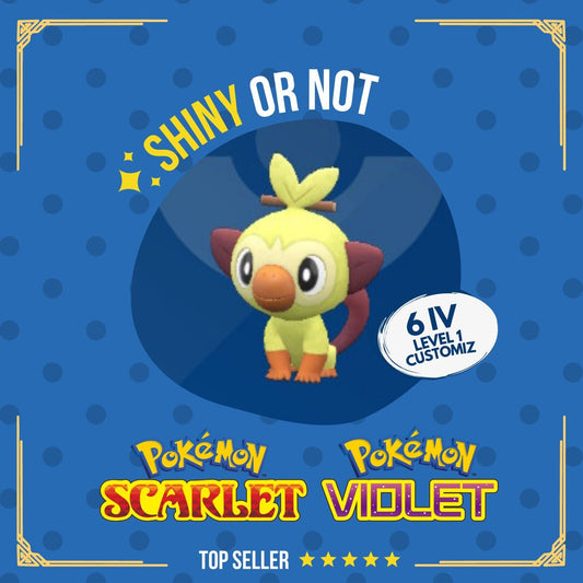 Grookey Shiny or Non ✨ 6 IV Customizable Nature Level OT Pokémon Scarlet Violet by Shiny Living Dex | Shiny Living Dex