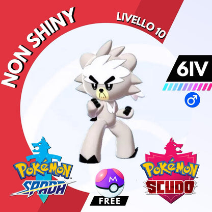 Kubfu Non Shiny 6 IV e Master Ball Legit Pokemon Spada Scudo Sword Shield
