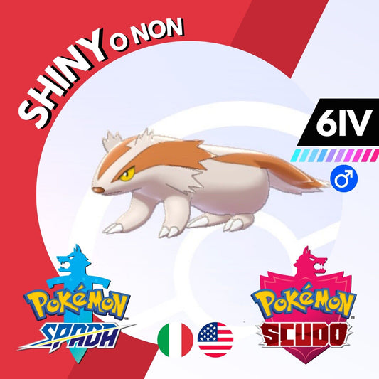 Linoone Shiny o Non 6 IV Competitivo Legit Pokemon Spada Scudo Sword Shield