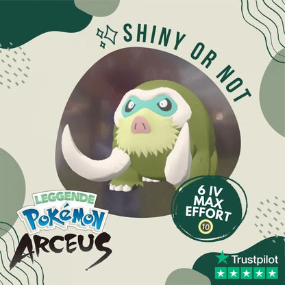 Mamoswine Shiny ✨ Legends Pokémon Arceus 6 Iv Max Effort Custom Ot Level Gender