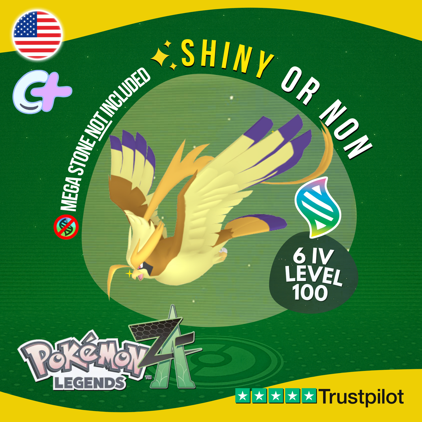 Mega Pidgeot Shiny or Non ✨ 6 IV Pokémon Legends Z-A Battle Ready ZA Z A