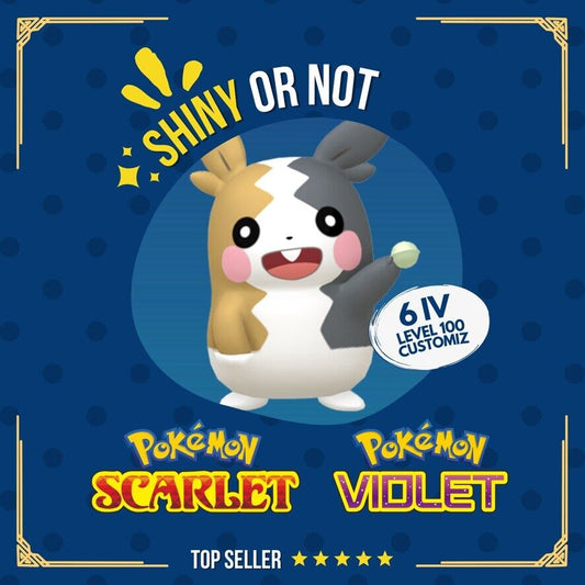 Morpeko Shiny or Non ✨ 6 IV Competitive Customizable Pokémon Scarlet Violet by Shiny Living Dex | Shiny Living Dex