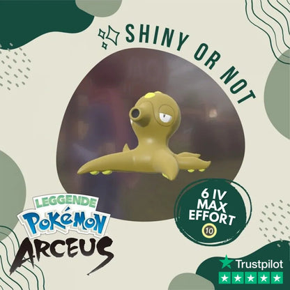 Octillery Shiny ✨ Legends Pokémon Arceus 6 Iv Max Effort Custom Ot Level Gender