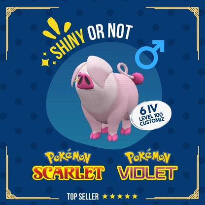 Oinkologne M Shiny or Non ✨ 6 IV Competitive Customizable Pokémon Scarlet Violet by Shiny Living Dex | Shiny Living Dex