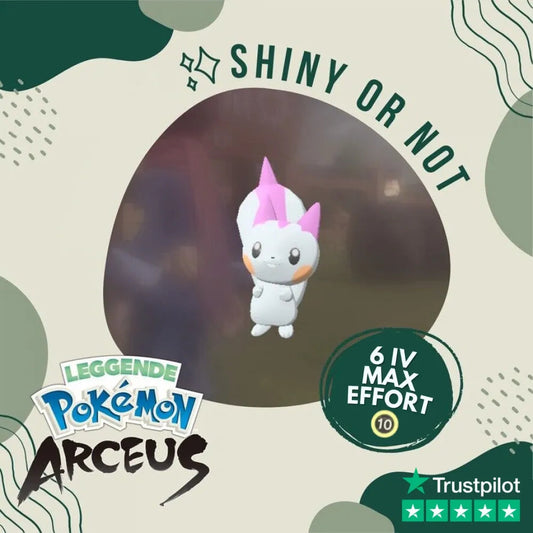Pachirisu Shiny ✨ Legends Pokémon Arceus 6 Iv Max Effort Custom Ot Level Gender