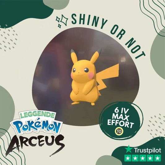 Pikachu Shiny ✨ Legends Pokémon Arceus 6 Iv Max Effort Custom Ot Level Gender